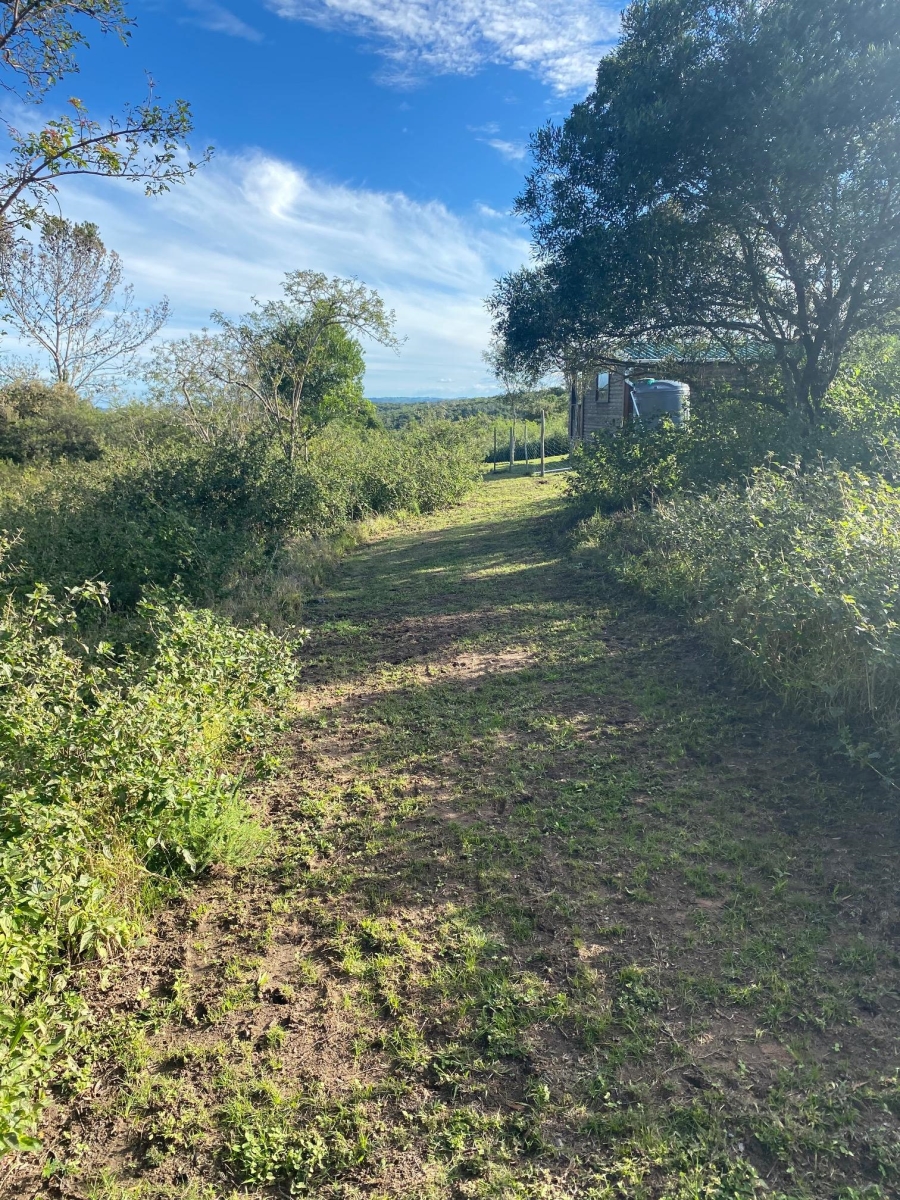 0 Bedroom Property for Sale in Bathurst Eastern Cape